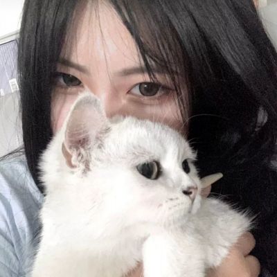 新澳门游戏网站入口手机app下载